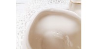 Sucrier et pot à lait Tunstall made in England 